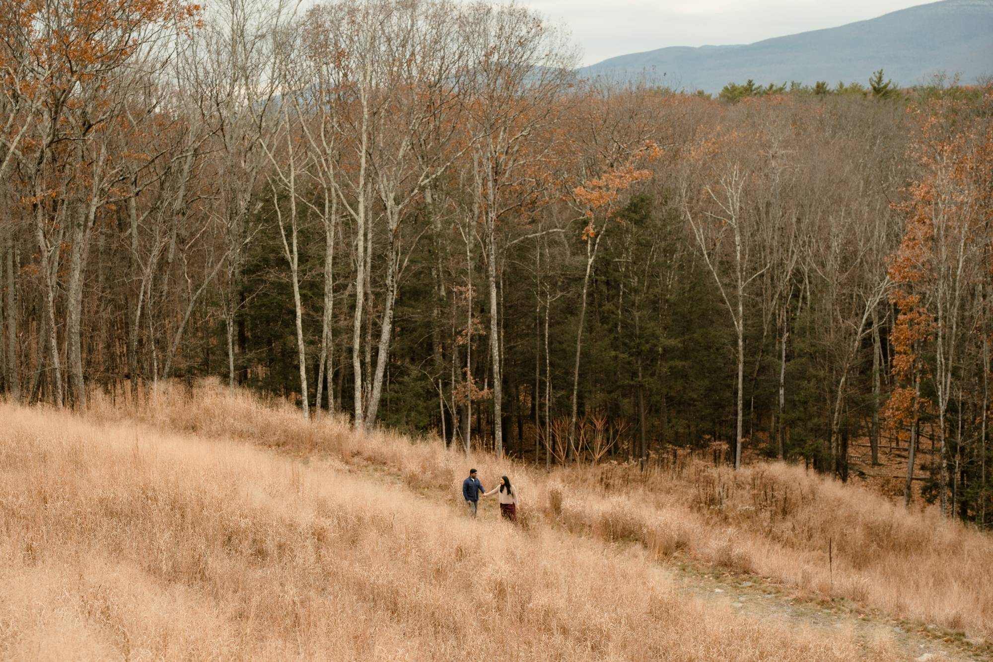 Myra and Rakesh walking hand in hand through a golden meadow below an autumn forest, mountains in the distance